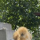 석원농장 이미지