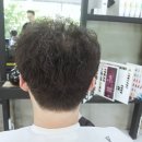 퍼니스핀 네이버블로그