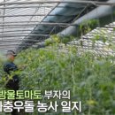 규호농장 네이버블로그