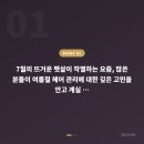 열두달헤어