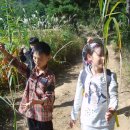 효탑초등학교 이미지