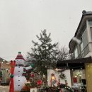 필그림 | 일산 숲체험, <필그림> 12월 주말 분리수업 후기 (+형제 스냅 추천)