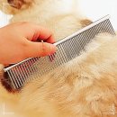 이지콤