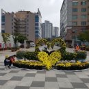 영덕1동 이미지