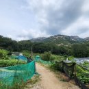 선림농장 이미지