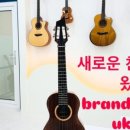 우쿨렐레&초등기타 이미지