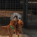 우리두리 이미지