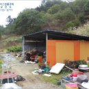 집현면1 이미지