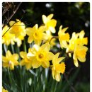 담양송죽헌 이미지