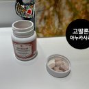 고말론