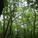 동행약품 이미지