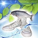 노안어울림센터 | 일본콘 이후로 안 가겠다고 했으면서 또 가네 허참ㅋ