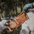 아영농장 이미지