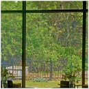 일층카페 이미지