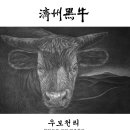 제주 흑우 이미지