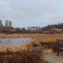 피자대학치킨학과 이미지