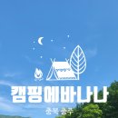충주 캠핑에바나나 c15 다녀온 후기 키즈캠핑장