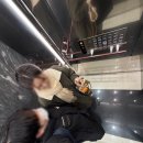 엄사유치원 | 성공적인 임봉사 프로젝트 | 스마일라식후기