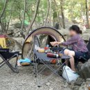 사지목나무그늘 이미지