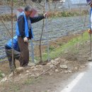 솔밭가는길 이미지