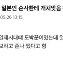 일제의 성공적 문화통치 사례 이미지