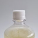 하니호프 이미지