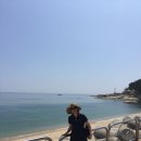 푸메하나 이미지