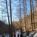 다리안쉼터 | [소백산 천동탐방지원센터 주막] 다리안주막(다리안쉼터)