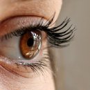 루미애체안경원 이미지