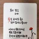 꽃채운 이미지