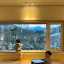 스테이 계림 이미지