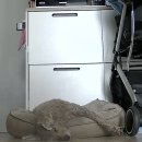 용하농장 | 별거 없지만서도