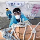 세종보건소 선별진료소 이미지