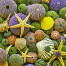 스타당구장 이미지