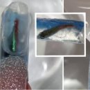 써니네일 (SUNNY NAIL) 이미지