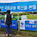 금대자동차야영장(치악산국립공원) 이미지