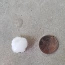 우박이네 이미지