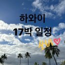 [공지] 하와이신혼여행 17박19일 일정 및 비용 : 마우이+오아후+힐로(당일)