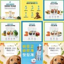 오늘도 바르개 이미지