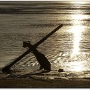 더리미장어마을 이미지