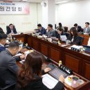 293 이미지
