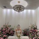 예뜰리에 이미지