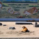 달성공원 이미지