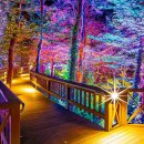 솔향 - 강북구 삼양로155길 10 | 솔향