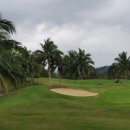 스타골프 이미지