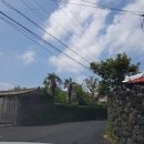 모모호텔 이미지