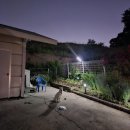 꼬마힐링전원주택 | 밤 풍경을 바꿔준 태양광 정원 조명 추천(전원주택 설치 후기)