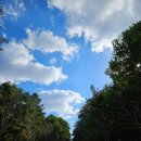 가을목장 | 고양시 아기랑 가볼만한 곳 | 한국마사회 원당목장 가을 산책 나들이 후기