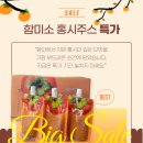 함마대로-1 이미지