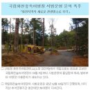 국립화천숲속야영장 이미지